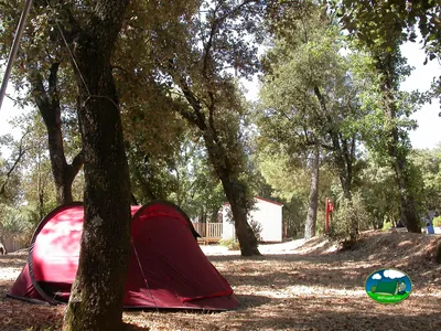 tiendas de campaña rojas bajo los árboles en las parcelas del camping cerca de Saint-Saturnin-lès-Apt