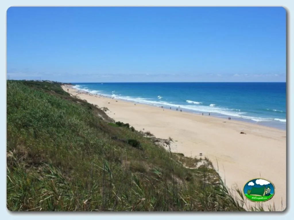 Playa junto al mar con dunas y vegetación del Camping Roche, Conil de la Frontera (Cádiz)