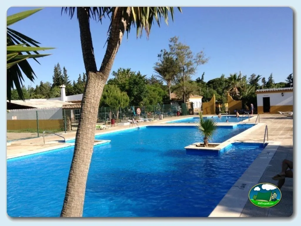 Piscina con vistas al jardín y palmeras del Camping Roche, Conil de la Frontera (Cádiz)