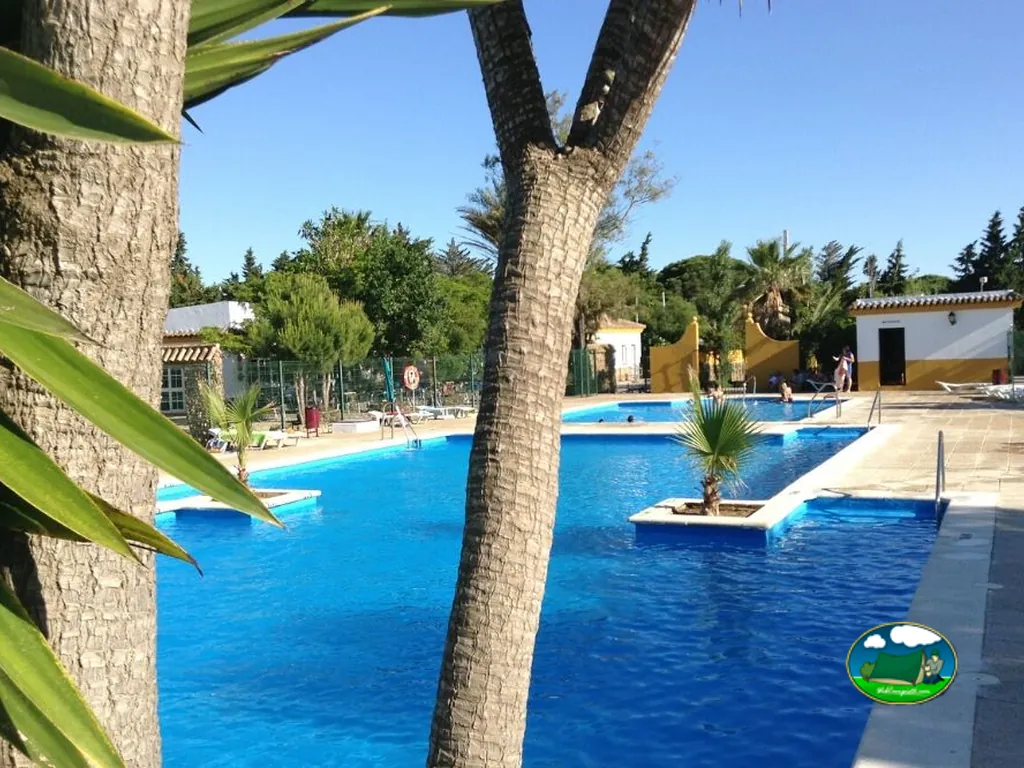 Piscina con vistas a palmeras y edificios del Camping Roche, Conil de la Frontera (Cádiz)