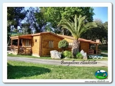 Bungalow de madera con terraza y palmera del Camping Ribadesella, Ribadesella (Asturias)