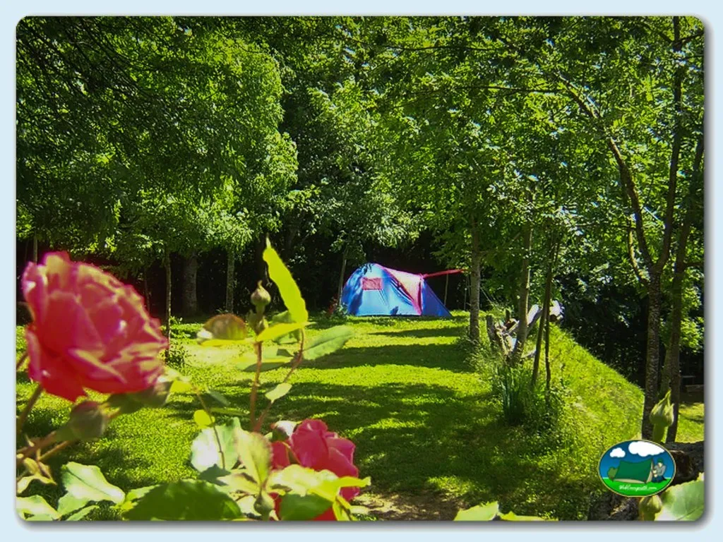 Parcela arbolada con tienda de acampada y flores del Camping El Redondo Picos de Europa, Fuente Dé (Cantabria)