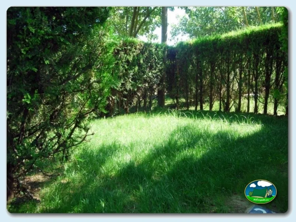 Camping La Rosaleda en Conil de la Frontera, Cádiz