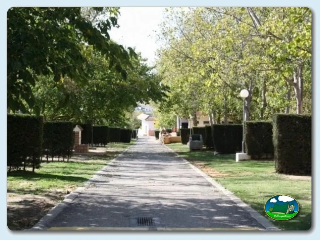 Camping La Rosaleda en Conil de la Frontera, Cádiz - imagen 4