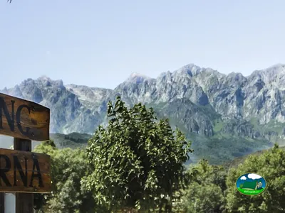 Montaña con vistas a sierra boscosa del Camping La Viorna, Mieses (Cantabria)
