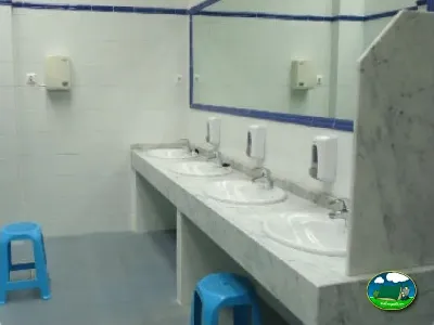 Aseos con lavabos múltiples y espejos del Camping Colombres, Colombres en Ribadedeva (Asturias)