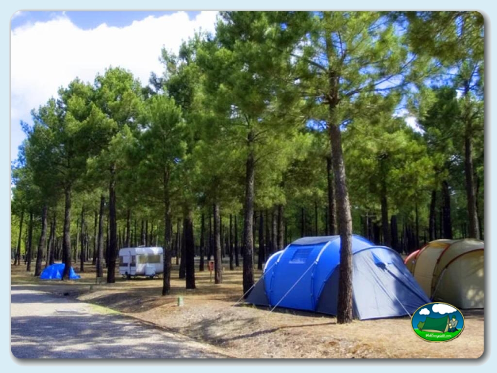 foto del camping Camping El Calonge