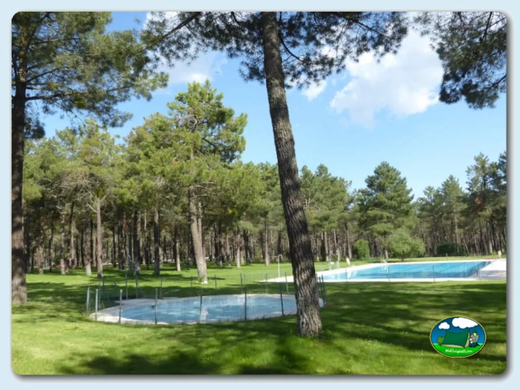 Piscina entre pinos con vistas al bosque del Camping El Calonge, Lastras de Cuéllar (Segovia)