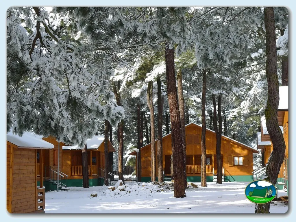Cabaña de madera en bosque nevado del Camping Hoces del Duratón, Cantalejo (Segovia)