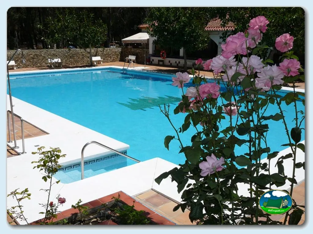 Camping Los Eucaliptos en Conil, Cádiz - imagen 3
