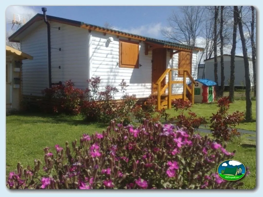Cabaña con parcela y flores silvestres del Camping Riaza, Riaza (Segovia)