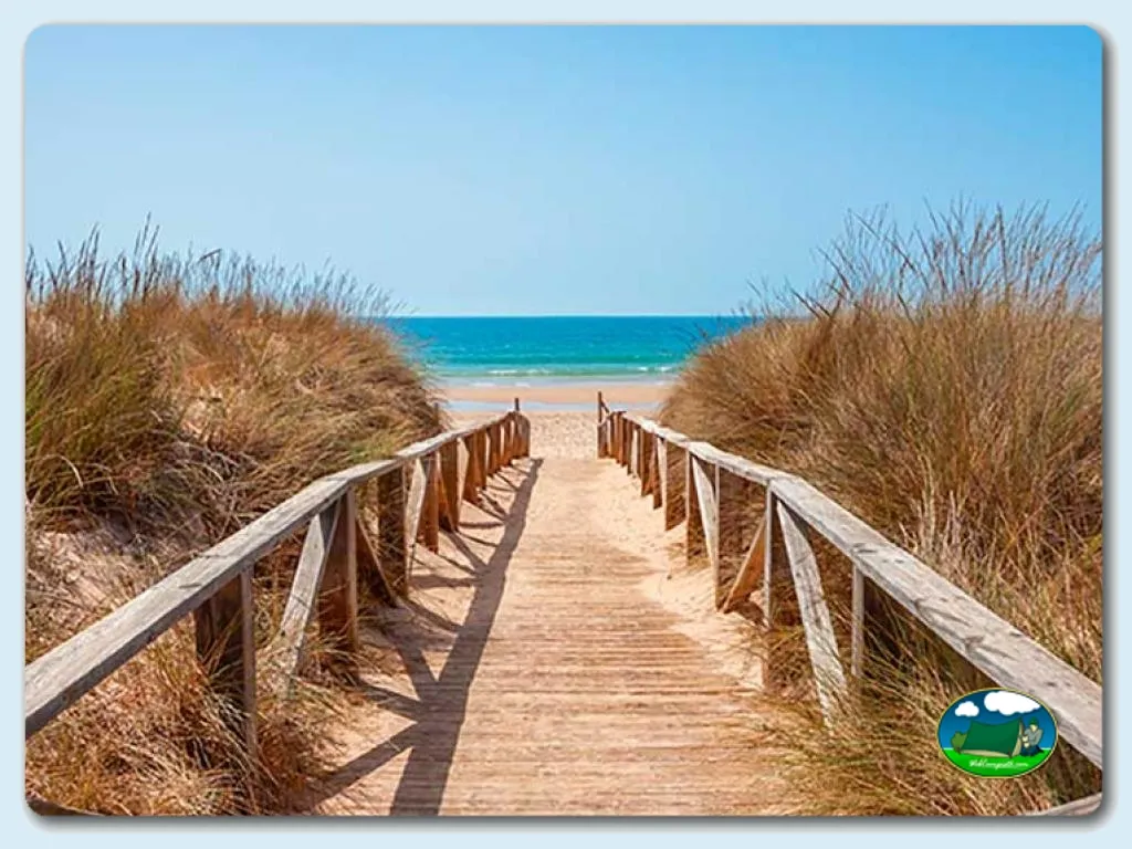 Camping El Palmar en Vejer, Cádiz - imagen 4