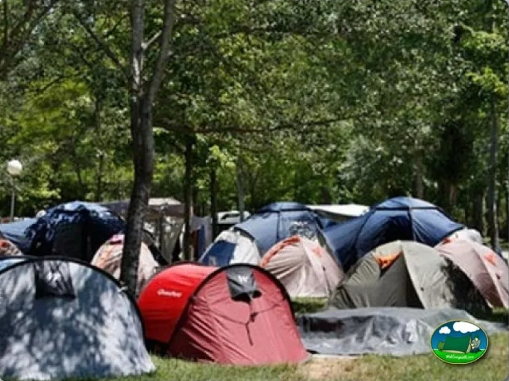 Parcelas con tiendas de acampada entre árboles del Camping Fuentes Blancas, Burgos
