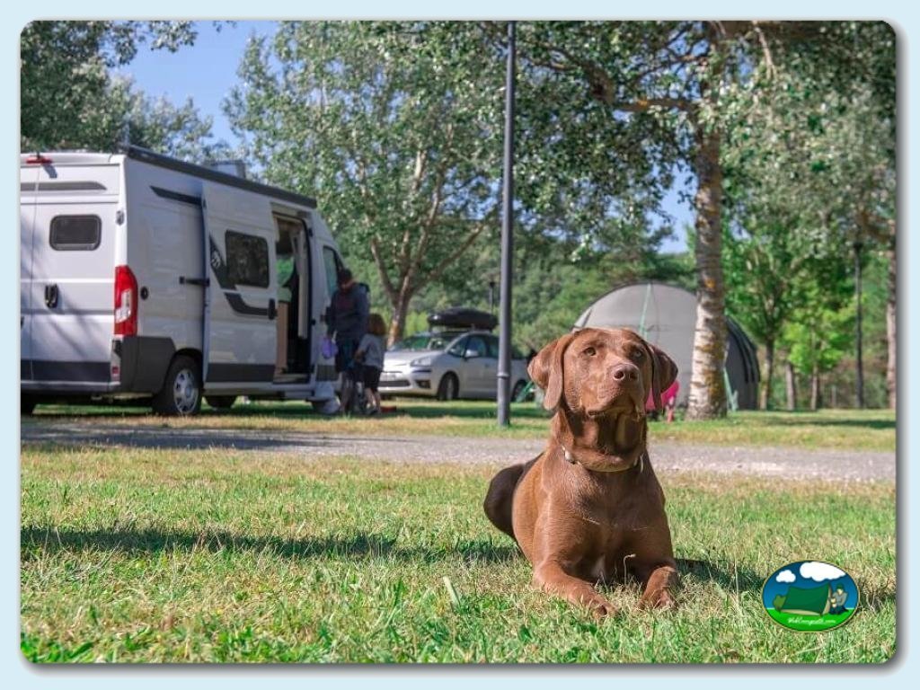 Camping Puerta de la Demanda