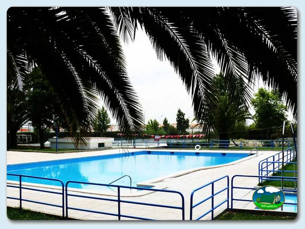 Piscina con vistas a palmeras del Camping Evora, Évora (Évora)