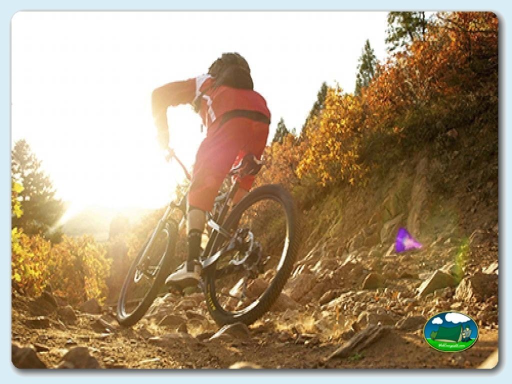 foto - Skate y bicicleta