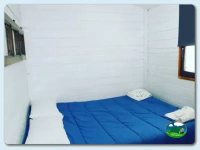 Interior tienda de acampada con cama del Camping Somo Parque, Ribamontán al Mar (Cantabria)