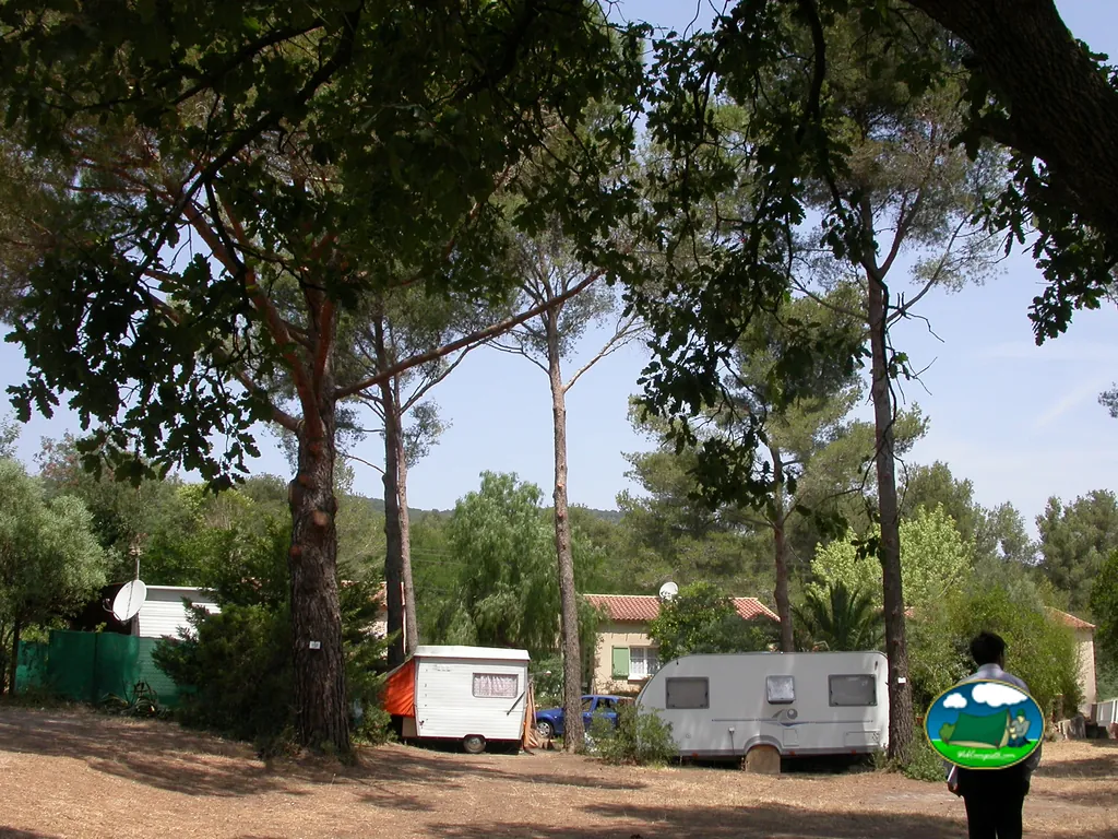 caravanas aparcadas entre pinos junto a una casa con antena parabólica en el camping