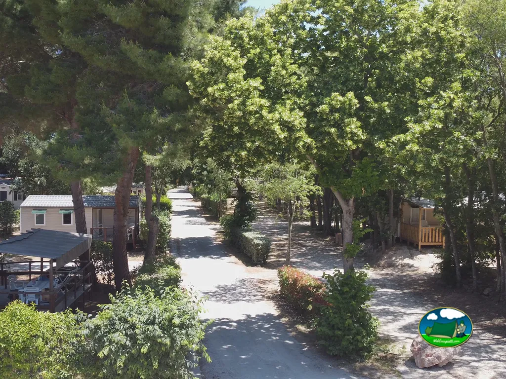 camino de tierra entre árboles y bungalós del camping en un día soleado en Sorède