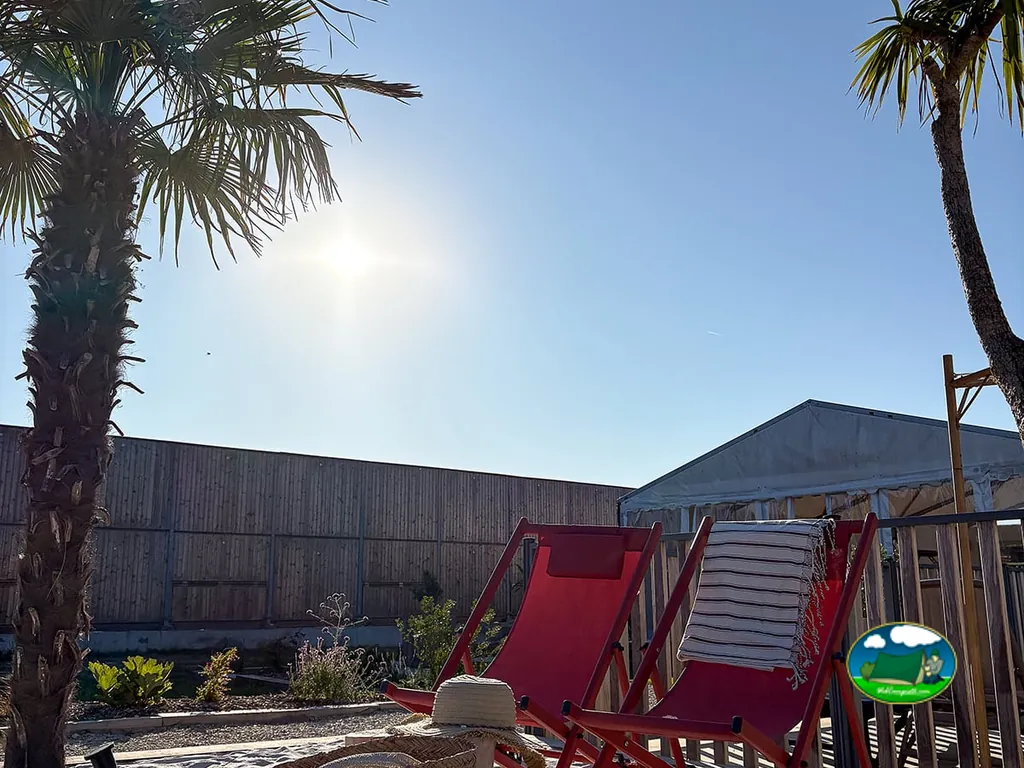 tumbonas rojas bajo palmeras junto a una valla de madera con el sol de frente en Ars-en-Ré