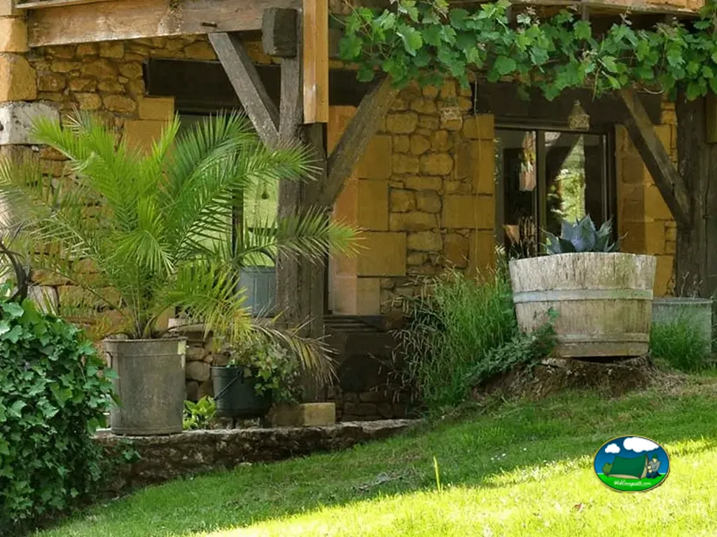 fachada de piedra con vigas de madera y macetas de palmeras en la entrada de un edificio del camping en Saint-Avit-Rivière