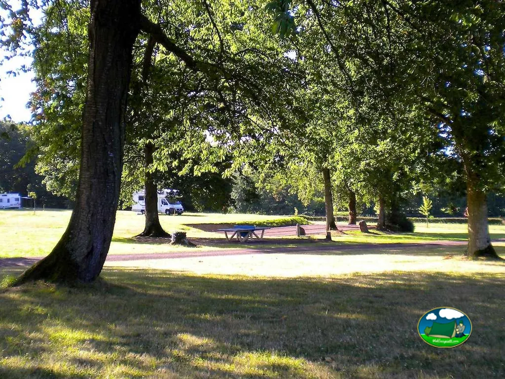 parcelas de césped bajo grandes árboles con autocaravanas aparcadas y mesa de picnic
