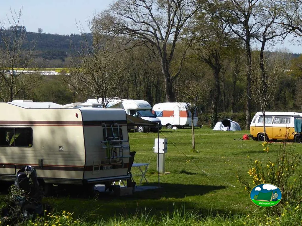 parcelas de césped con caravanas y autocaravanas antiguas entre árboles sin hojas en primavera