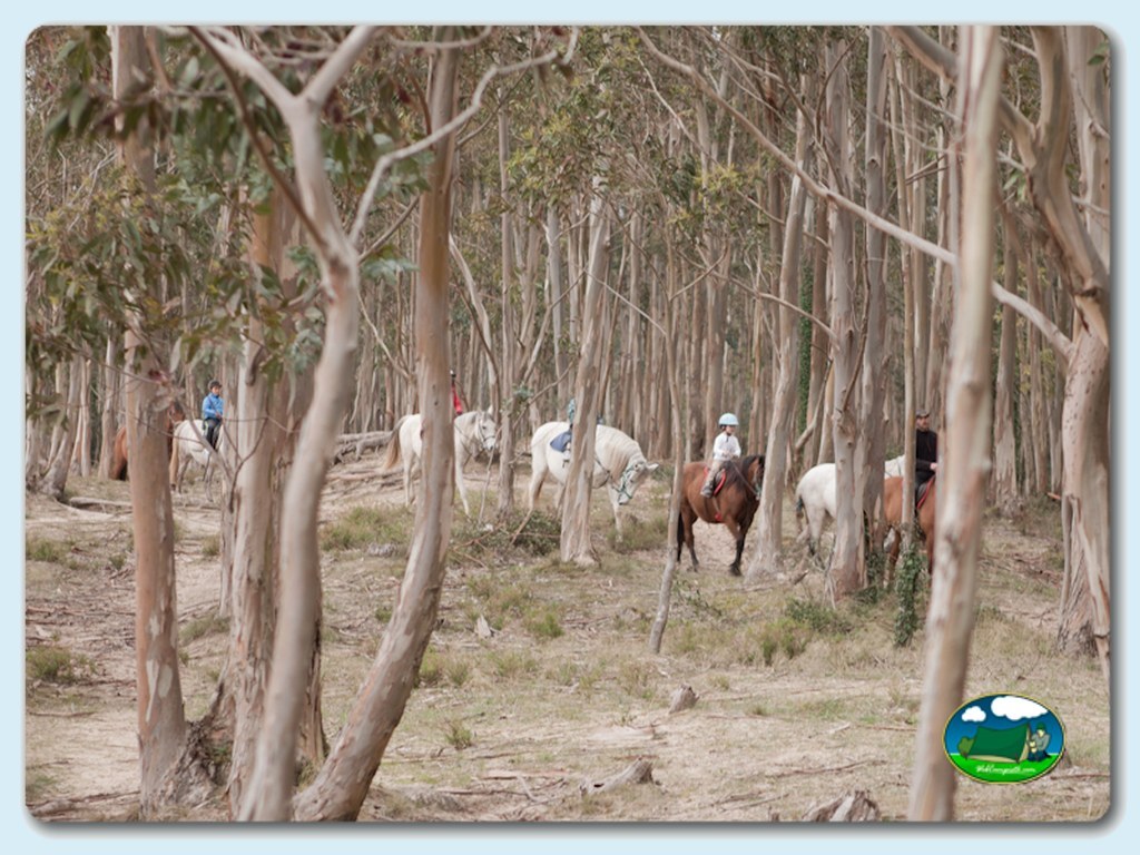 foto del camping Camping Laredo