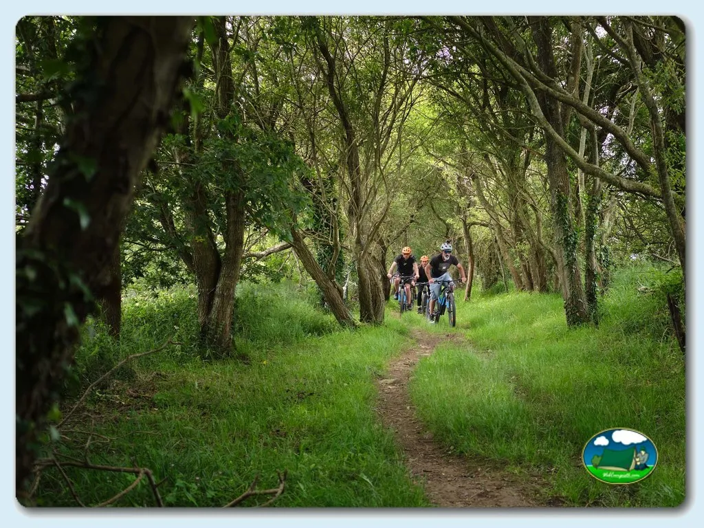 Camping Laredo en Laredo - imagen 3