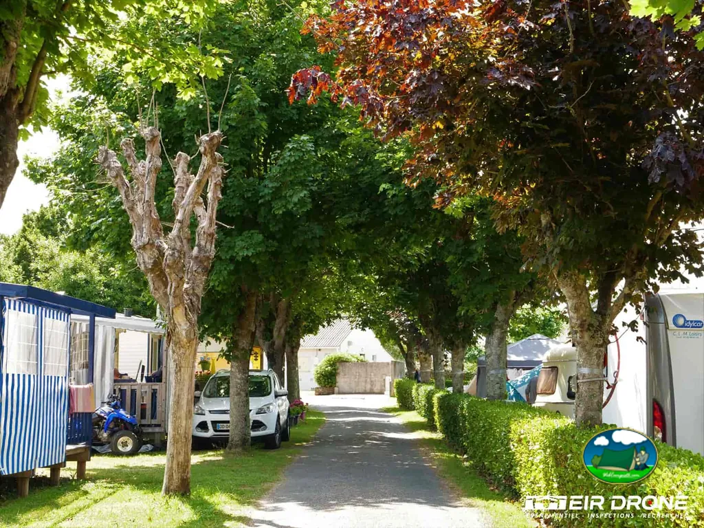 avenida arbolada del camping con caravanas y bungalós aparcados bajo los árboles