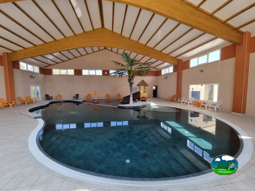 piscina cubierta con palmera decorativa y tumbonas en Saint-Jean-de-Monts