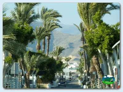 Parcela con vistas a la montaña entre palmeras del Camping Roquetas, Roquetas de Mar (Almería)