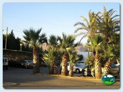 Parcela junto al lago con palmeras del Camping Roquetas, Roquetas de Mar (Almería)