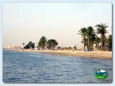 Playa junto al mar con palmeras y primera línea del Camping Roquetas, Roquetas de Mar (Almería)