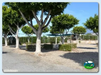 Parcela con árboles y vistas al mar del Camping Roquetas, Roquetas de Mar (Almería)