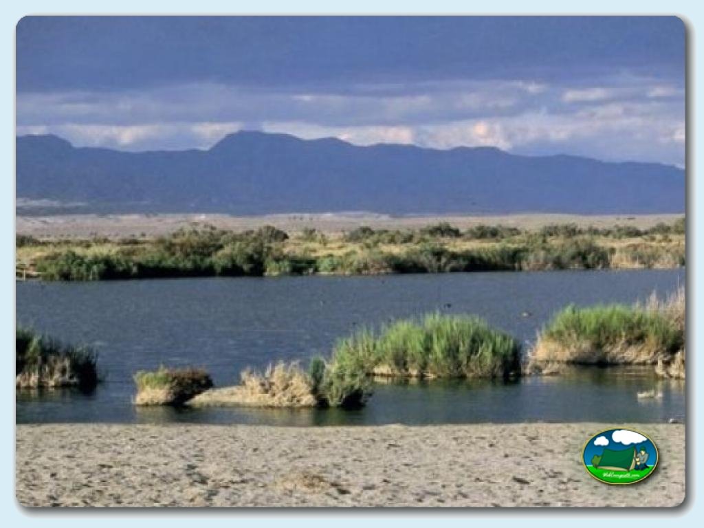 foto del camping Camping Cabo de Gata