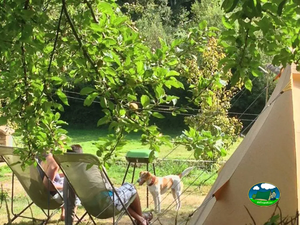 pareja sentada en tumbonas junto a una tienda tipi con un perro, vista entre ramas de manzano en Plonéour-Lanvern