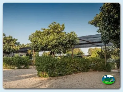 Parcela con sombraje y vegetación del Camping Los Escullos, Almería (Almería)