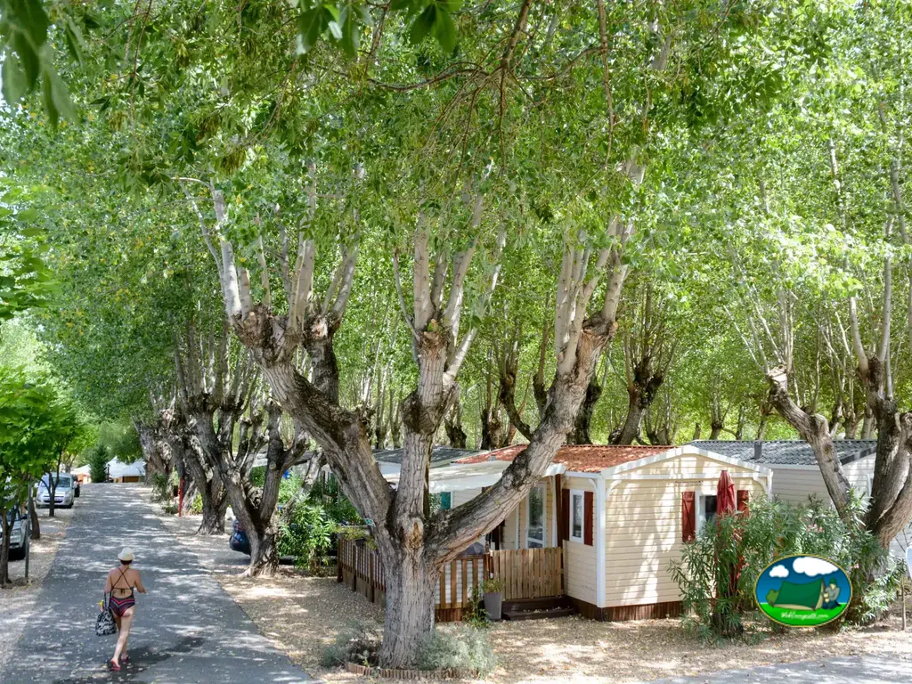 camino sombreado por grandes árboles junto a mobile homes con una mujer paseando en Carcès