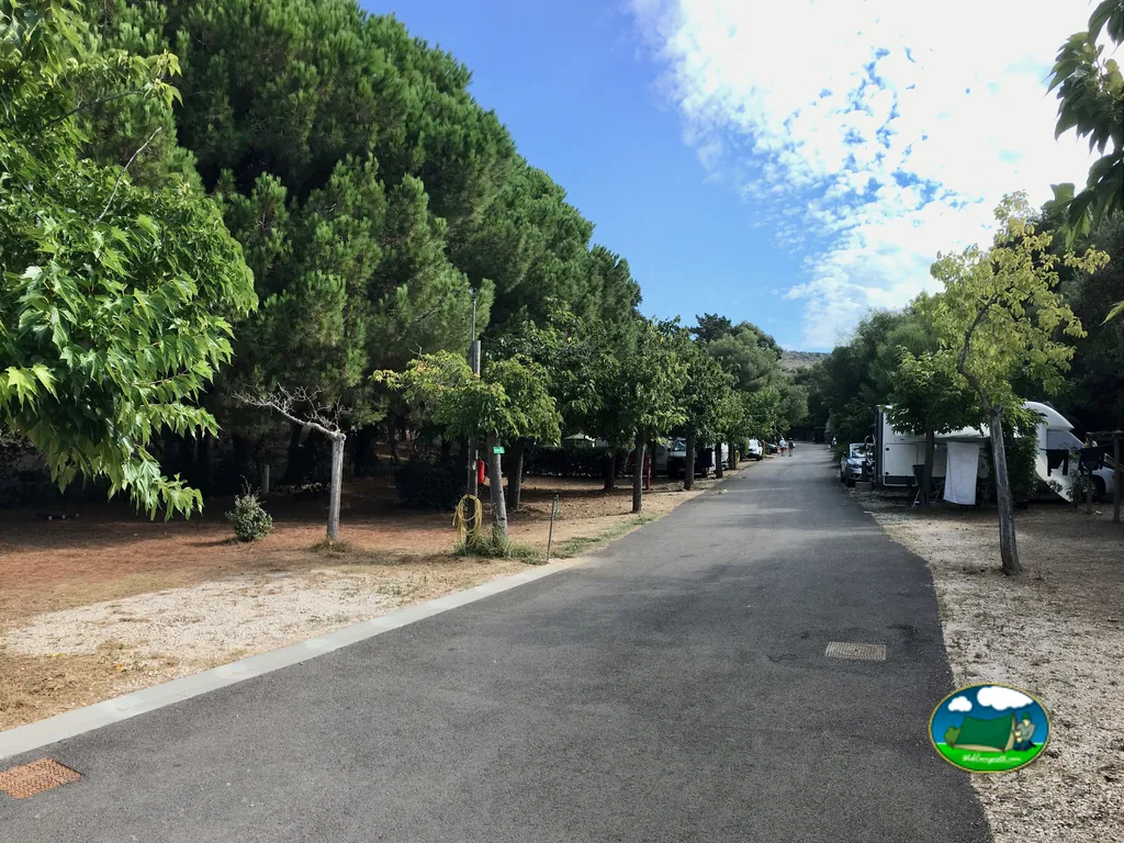 camino interior del camping bordeado de pinos con caravanas aparcadas en las parcelas
