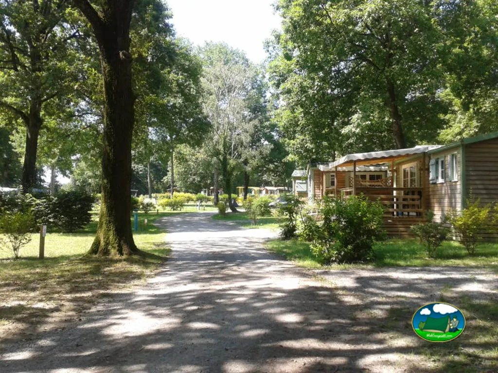 camino arbolado del camping con mobile homes y terrazas de madera