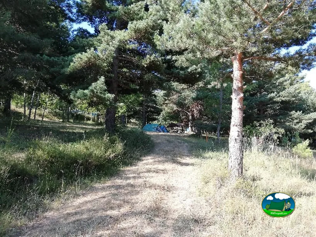 camino de tierra entre pinos con una tienda de campaña acampada en Fillols