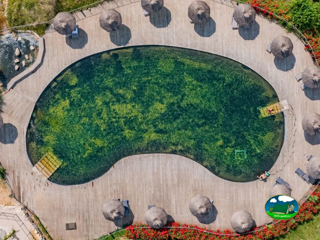 vista aérea de piscina natural con tumbonas de paja alrededor en Brissac