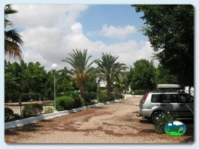 Parcela con palmeras y acceso en vehículo del Camping La Hierbabuena, Cuevas de Almanzora (Almería)