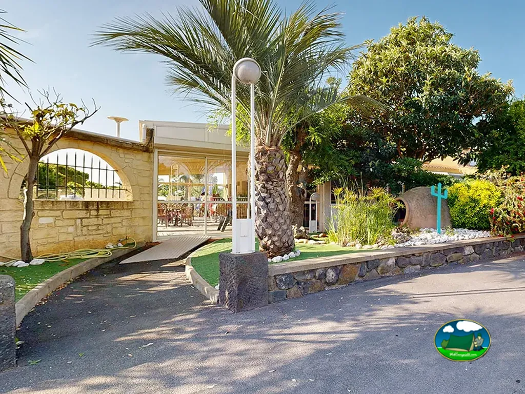 entrada del camping con palmera y jardín decorativo junto a la recepción