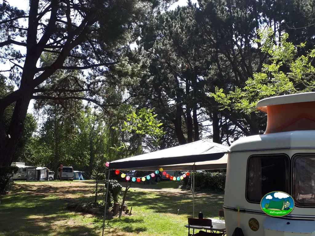 parcela de acampada con guirnalda de farolillos y caravana antigua entre pinos