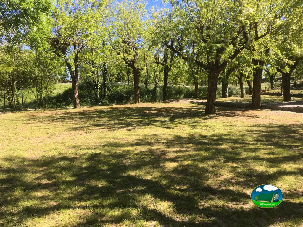 zona de parcelas sombreadas bajo grandes árboles en el camping