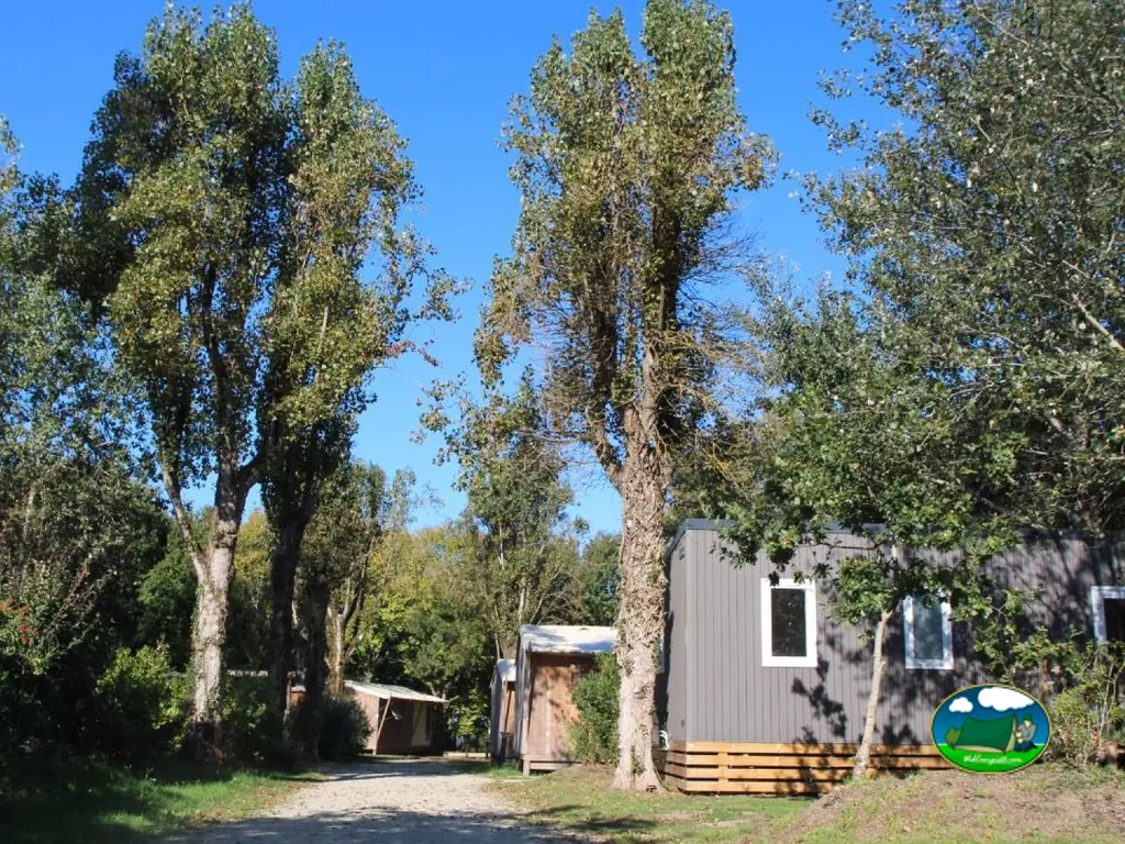 camino arbolado hacia los mobil-homes del camping en Pénestin