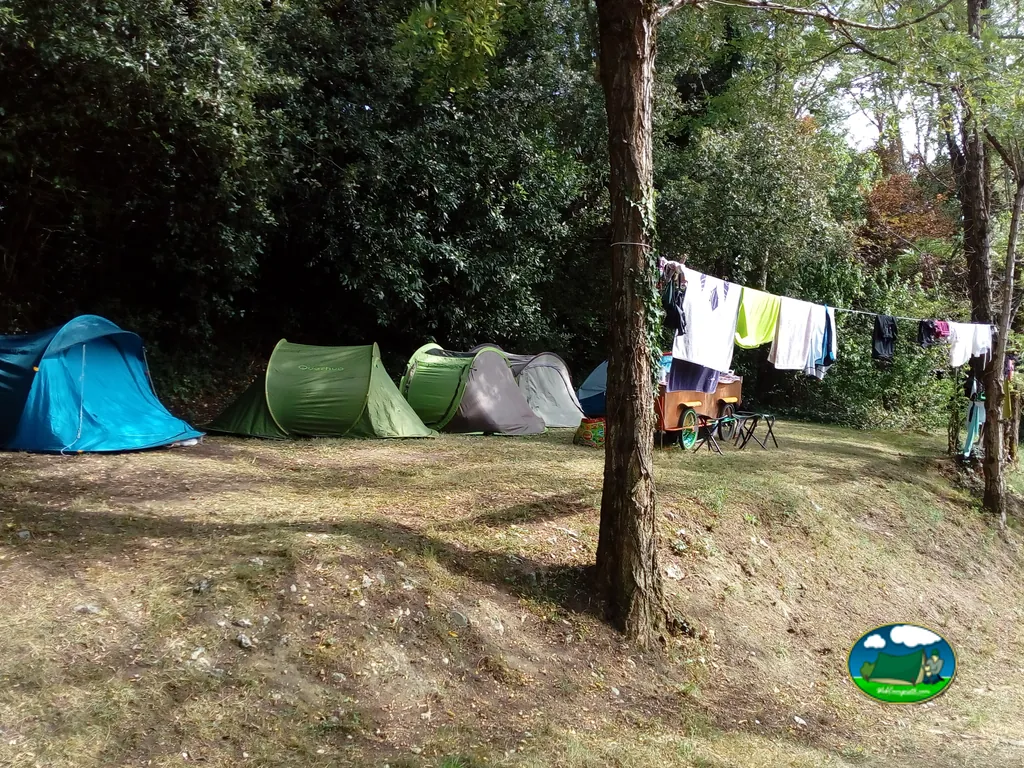 parcela de tiendas de campaña con ropa tendida entre árboles en el camping de Saint-Palais-sur-Mer