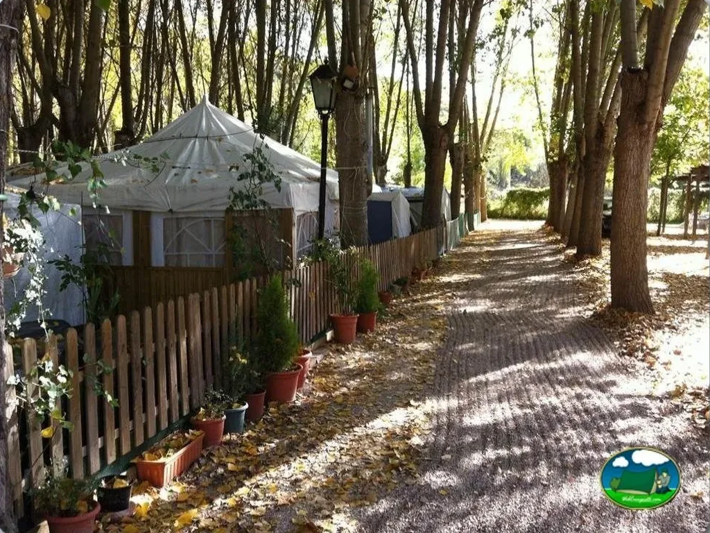 Glamping con vistas al bosque de álamos del Camping Sierra de Peñascosa, Peñascosa (Albacete)